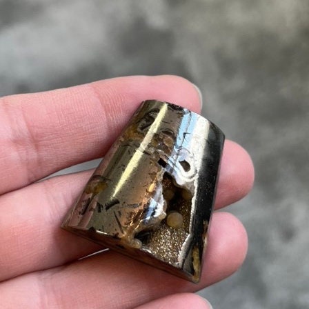 Pyritized ammonite, AM_P042, cabochon cut, 32x30x10 mm; 17.1g