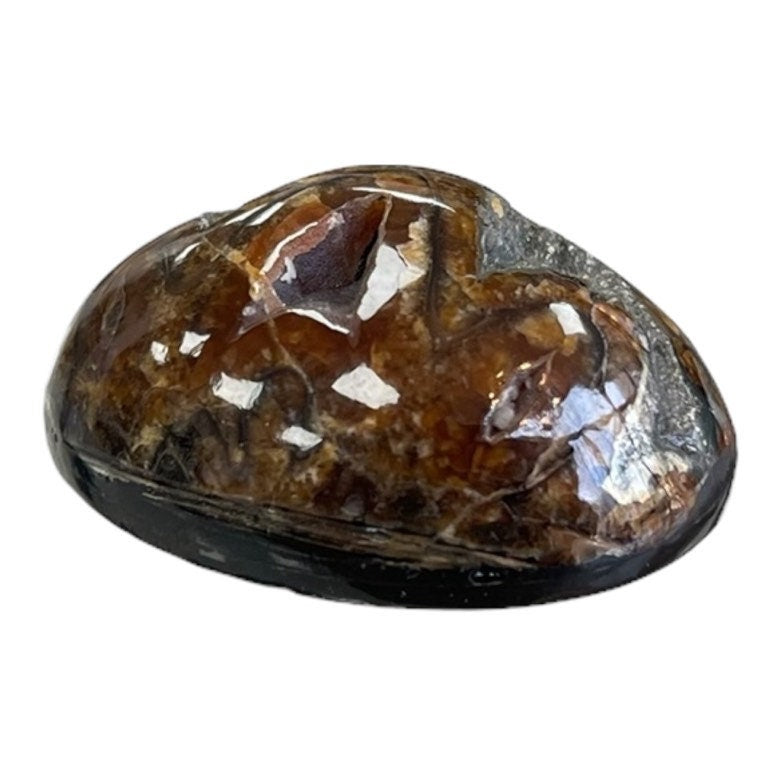 Pyritisierter Ammonit, AM_P053, Cabochon-Schliff, 36x26x14 mm; 17,3 g;