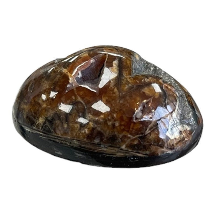 Pyritisierter Ammonit, AM_P053, Cabochon-Schliff, 36x26x14 mm; 17,3 g;