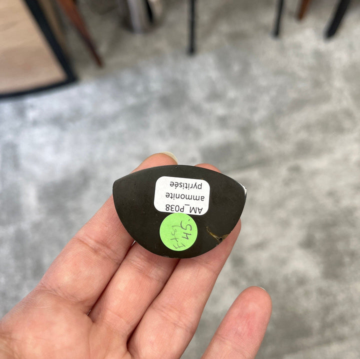 Pyritisierter Ammonit, AM_P038, Cabochongröße, 45x30x10 mm; 17,4 g;