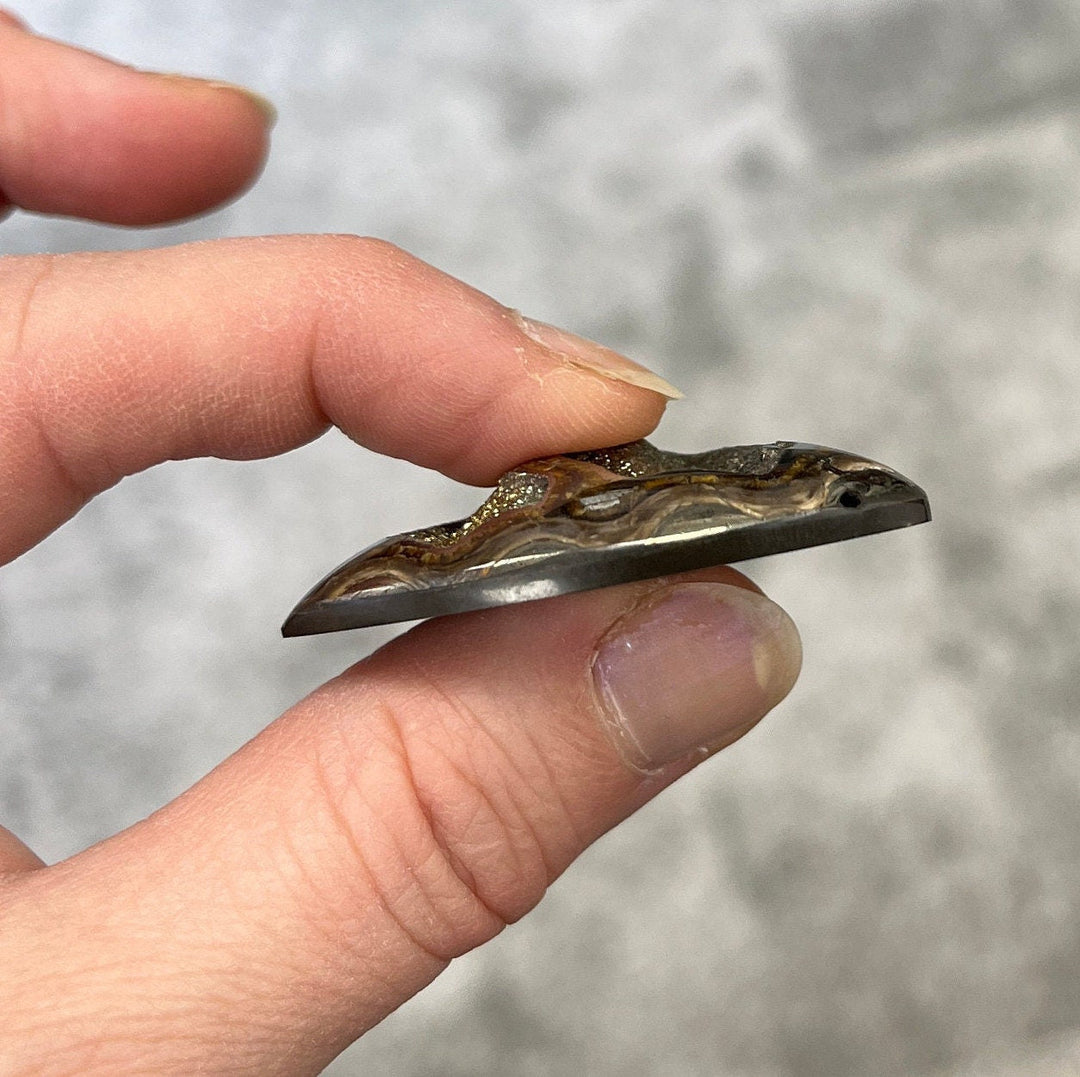 Pyritisierter Ammonit, AM_P038, Cabochongröße, 45x30x10 mm; 17,4 g;