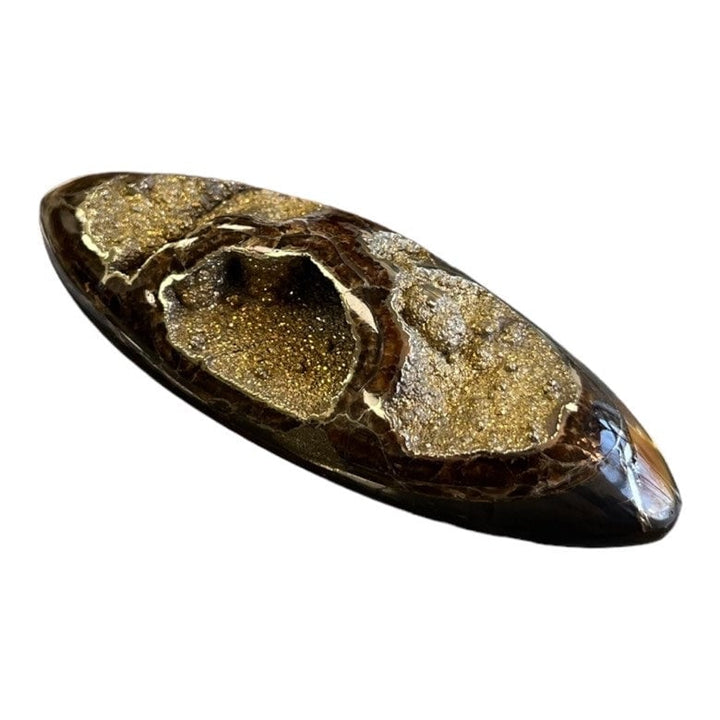 Ammonite pyritisée, AM_P063, taille cabochon, 84x30x15 mm; 42g;