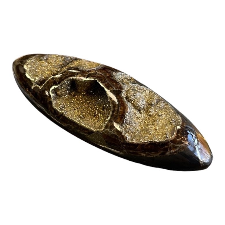Ammonite pyritisée, AM_P063, taille cabochon, 84x30x15 mm; 42g;