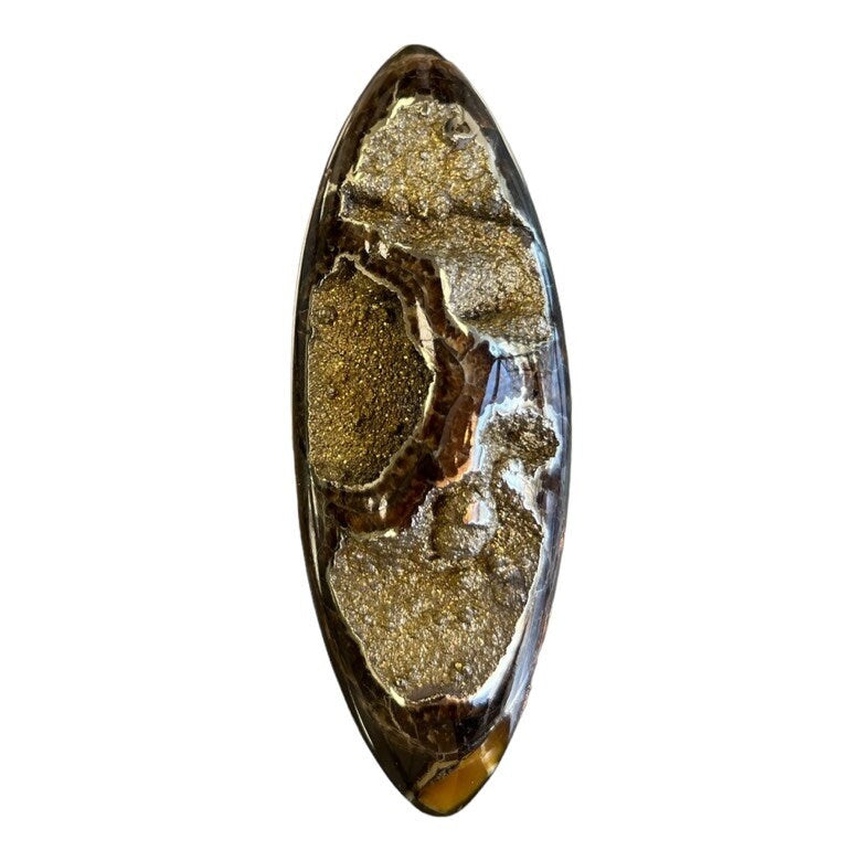 Ammonite pyritisée, AM_P063, taille cabochon, 84x30x15 mm; 42g;