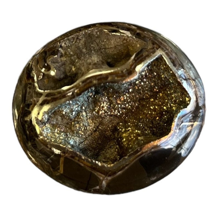 Pyritisierter Ammonit, AM_P045, Cabochon-Schliff, 36 x 31 x 13 mm; 13 g;