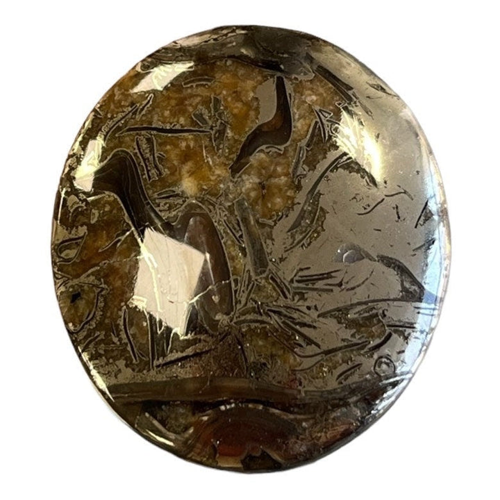 Pyritized ammonite, AM_P050, cabochon cut, 40x35x7 mm; 16.2g;