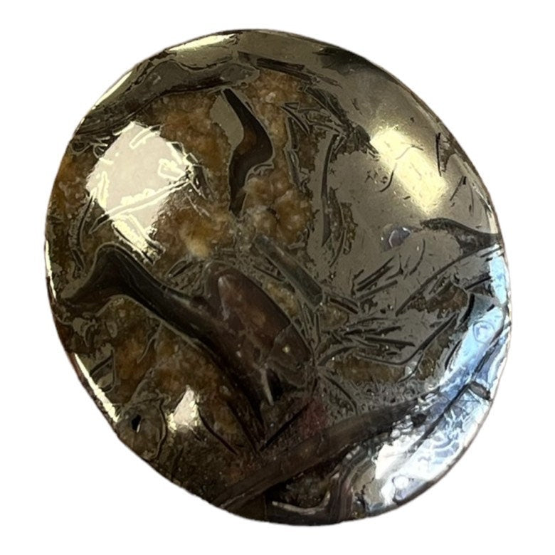 Pyritized ammonite, AM_P050, cabochon cut, 40x35x7 mm; 16.2g;