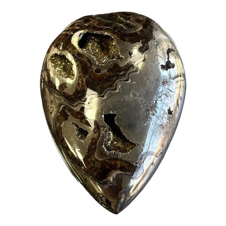 Pyritisierter Ammonit, AM_P080, Cabochongröße, 50x36x10 mm; 27,6 g;