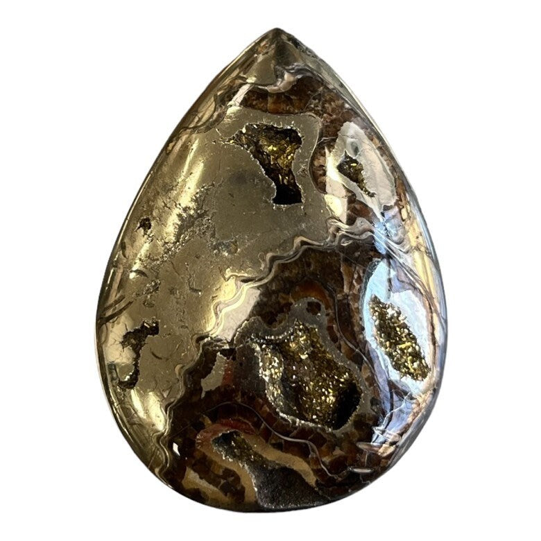 Pyritisierter Ammonit, AM_P080, Cabochongröße, 50x36x10 mm; 27,6 g;