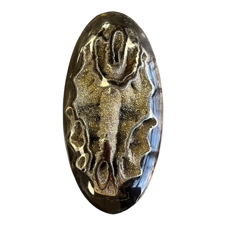 Ammonite pyritisée, AM_P069, taille cabochon, 54x27x7  mm; 13.1g;