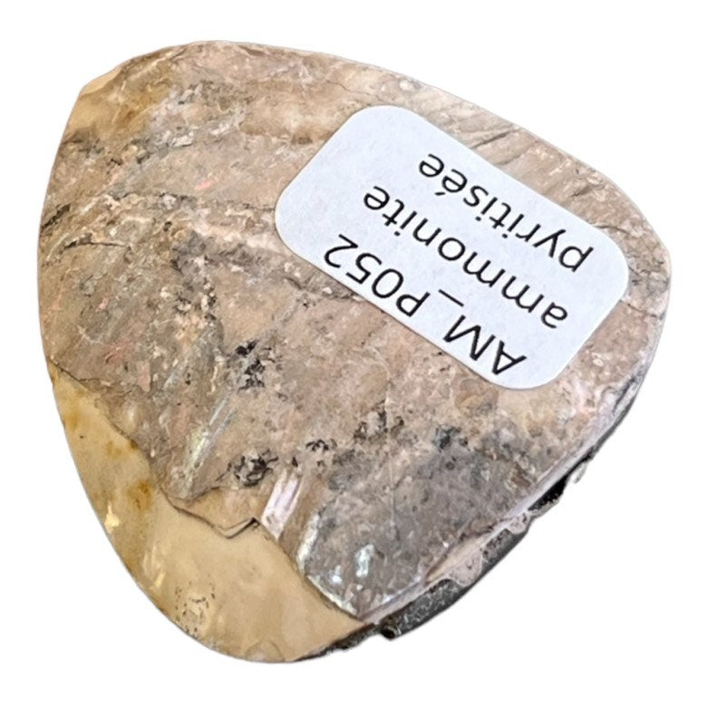 Pyritisierter Ammonit, AM_P052, Cabochon-Schliff, 40x35x10 mm; 13 g;