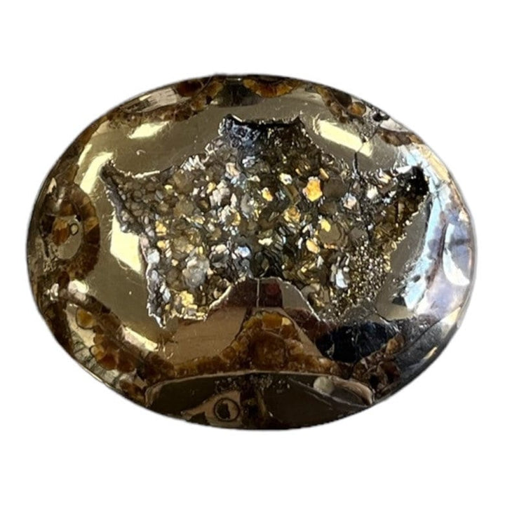 Pyritisierter Ammonit, AM_P035, Cabochon-Schliff, 46x35x9 mm; 22,8 g;