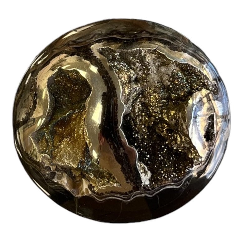 Pyritisierter Ammonit, AM_P057, Cabochongröße, 48x45x15 mm; 40,4 g;