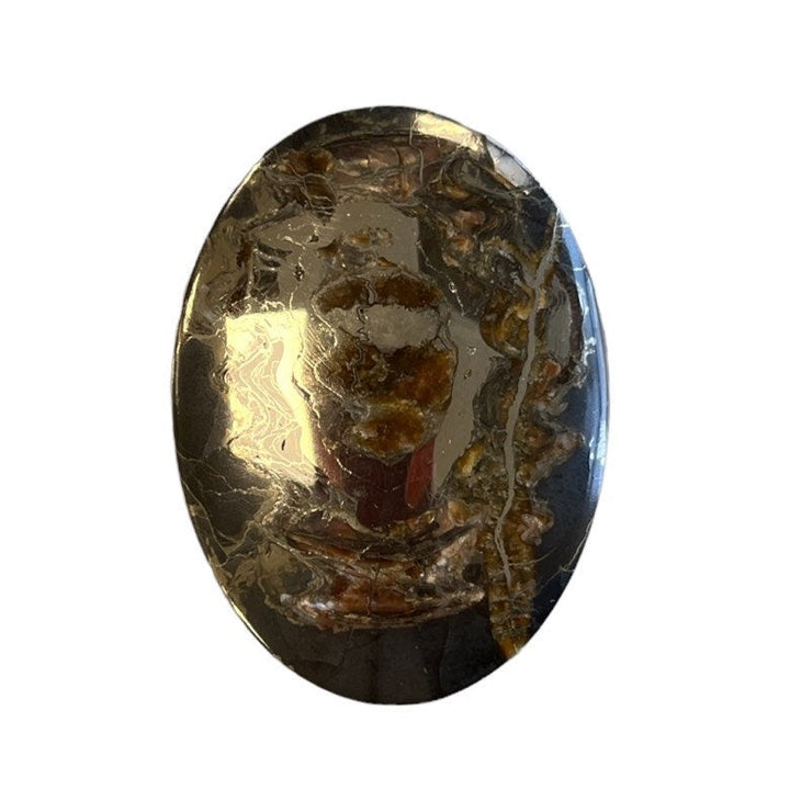 Ammonite pyritisée, AM_P062, taille cabochon, 65x42x6 mm; 33.9g;