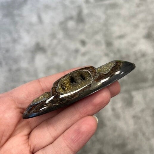 Ammonite pyritisée, AM_P063, taille cabochon, 84x30x15 mm; 42g;