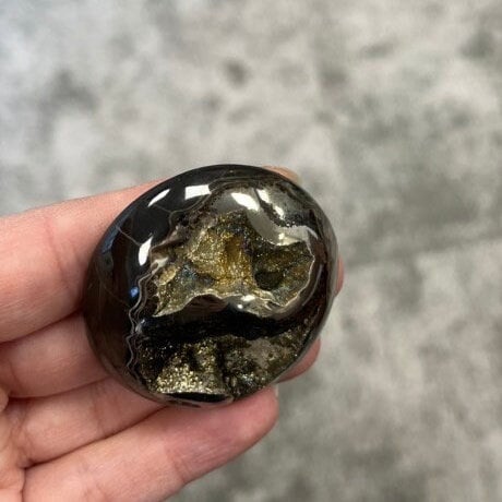 Pyritisierter Ammonit, AM_P057, Cabochongröße, 48x45x15 mm; 40,4 g;