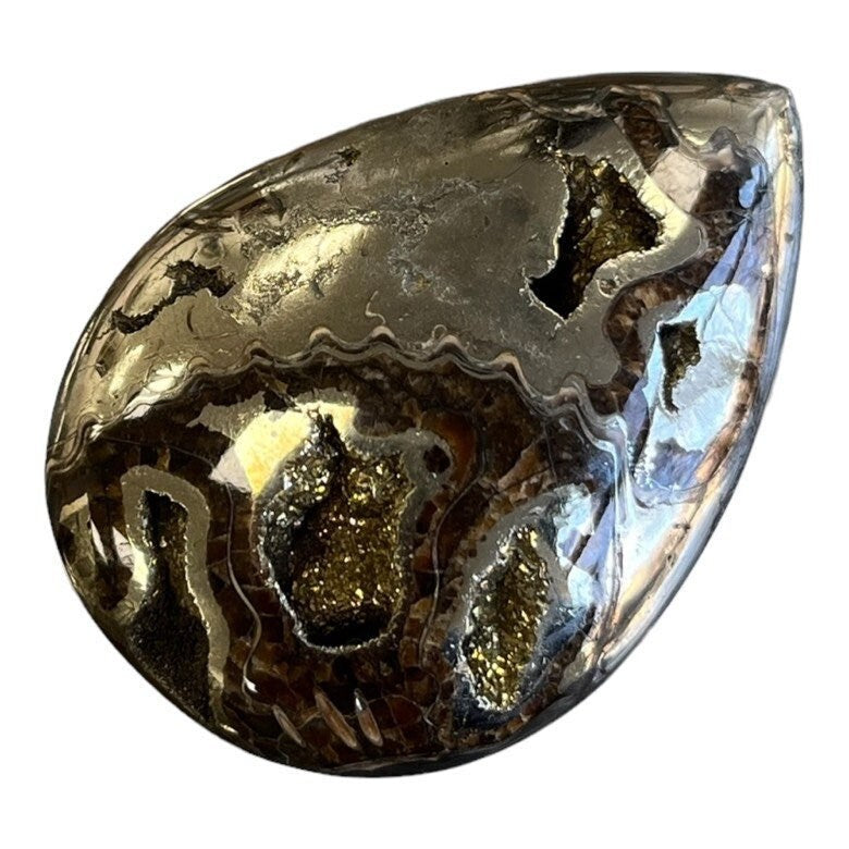 Pyritisierter Ammonit, AM_P080, Cabochongröße, 50x36x10 mm; 27,6 g;