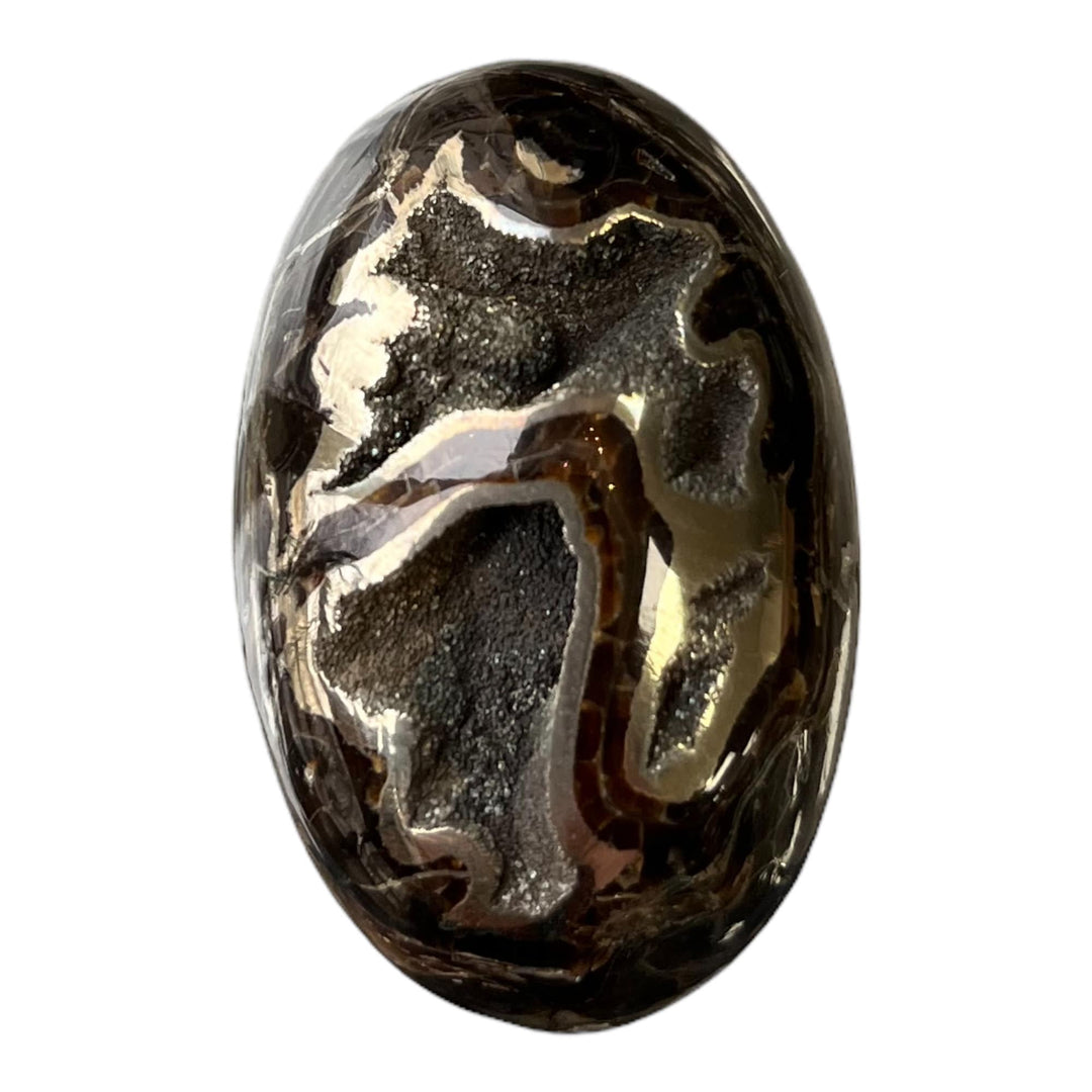 Pyritisierter Ammonit, AM_P092, Cabochongröße, 38x25x10 mm; 14 g;