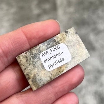 Pyritized ammonite, AM_P060, cabochon size, 41x21x6 mm; 15g;