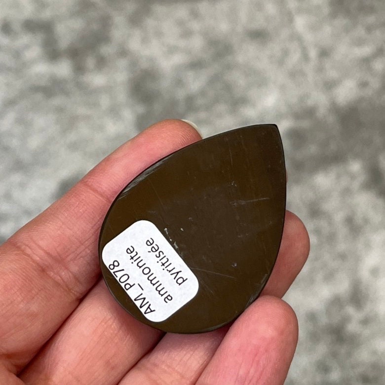 Pyritisierter Ammonit, AM_P078, Cabochon-Schliff, 48x34x8 mm; 18,8 g;