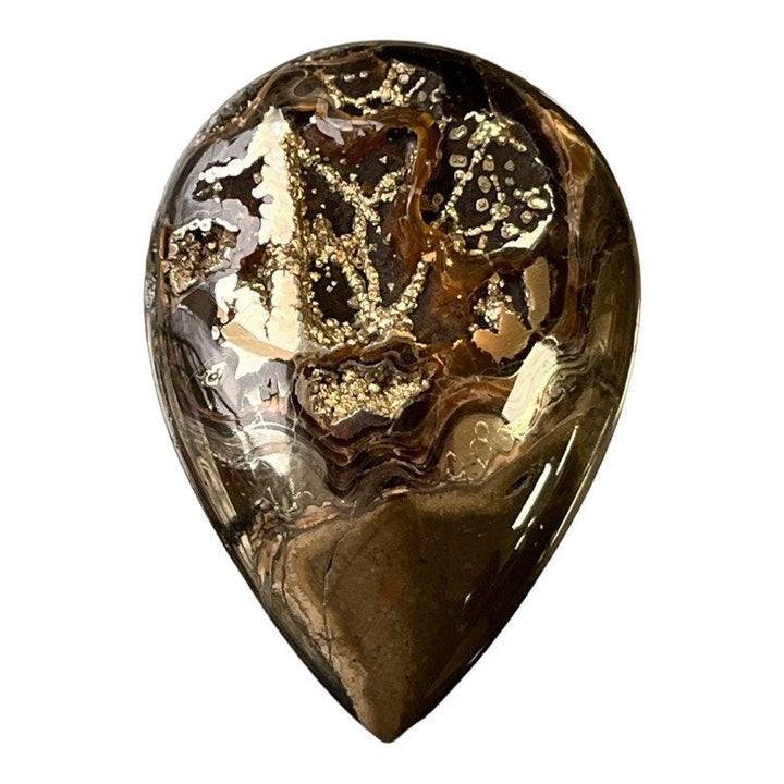 Pyritisierter Ammonit, AM_P078, Cabochon-Schliff, 48x34x8 mm; 18,8 g;