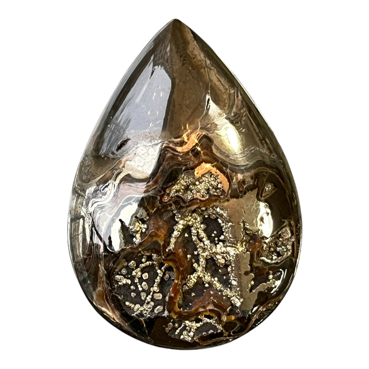 Pyritisierter Ammonit, AM_P078, Cabochon-Schliff, 48x34x8 mm; 18,8 g;