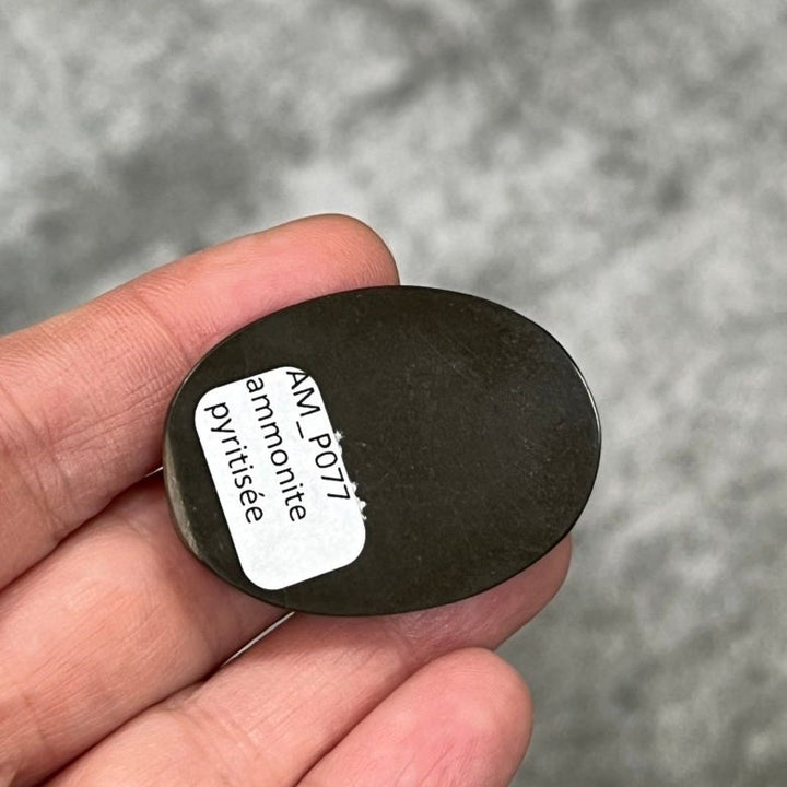 Pyritisierter Ammonit, AM_P077, Cabochongröße, 43x30x7 mm; 14,8 g;