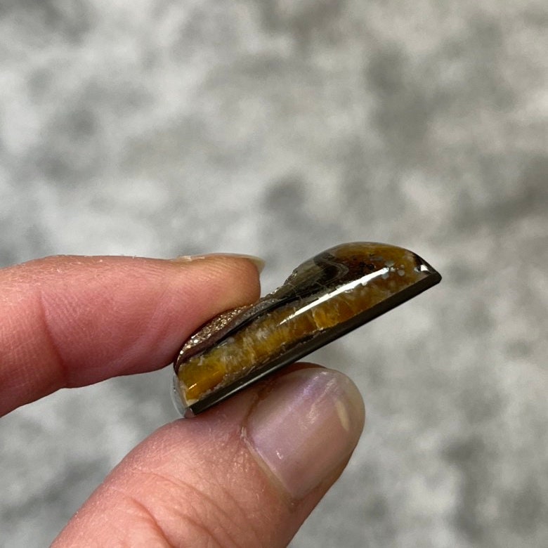 Pyritized ammonite, AM_P032, cabochon cut, 31x21x9 mm; 12.2g