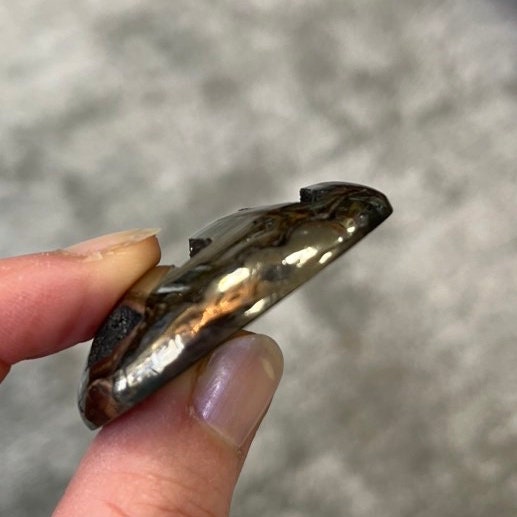 Ammonite pyritisée, AM_P024, taille cabochon, 59x44x11 mm; 29g;