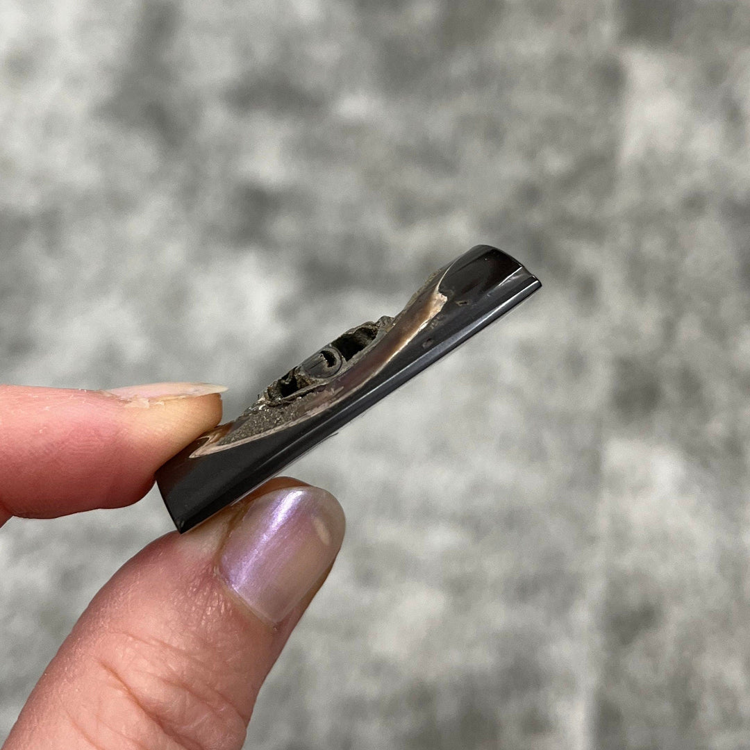 Pyritisierter Ammonit, AM_P036, Cabochongröße, 42x36x8 mm; 18,4 g;