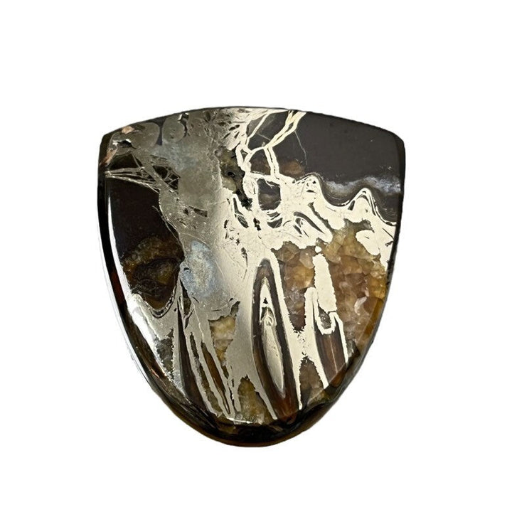 Pyritisierter Ammonit, AM_P048, Cabochon-Schliff, 33 x 30 x 5 mm; 11,7 g