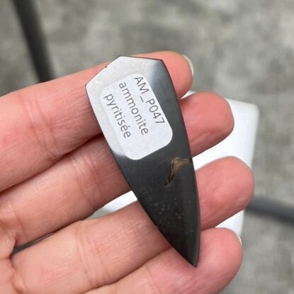 Ammonite pyritisée, AM_P047, taille cabochon, 50x20x9 mm; 16.6g;