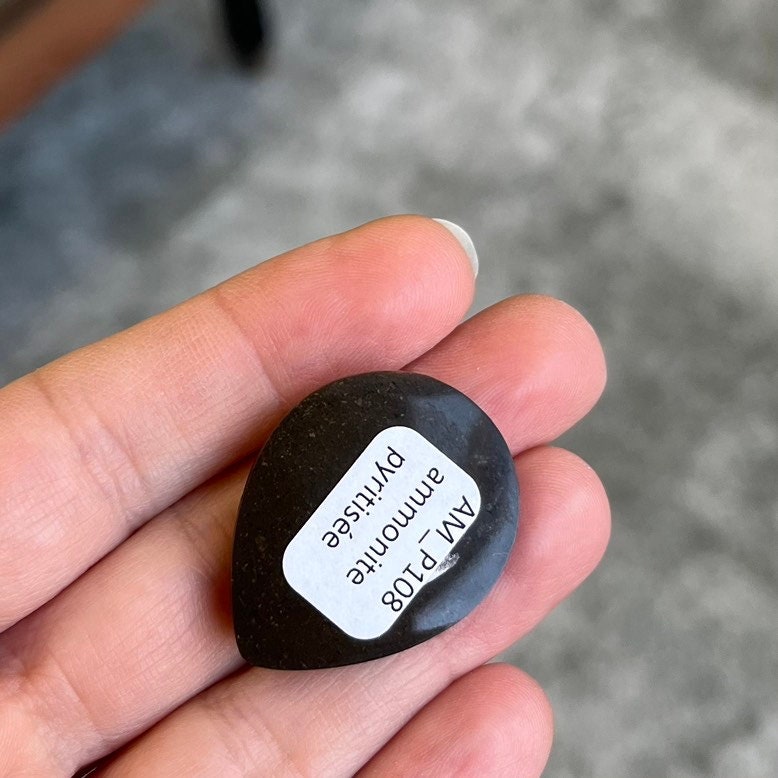 Pyritisierter Ammonit, AM_P108, Cabochon-Schliff, 31x25x7 mm; 8,8 g;