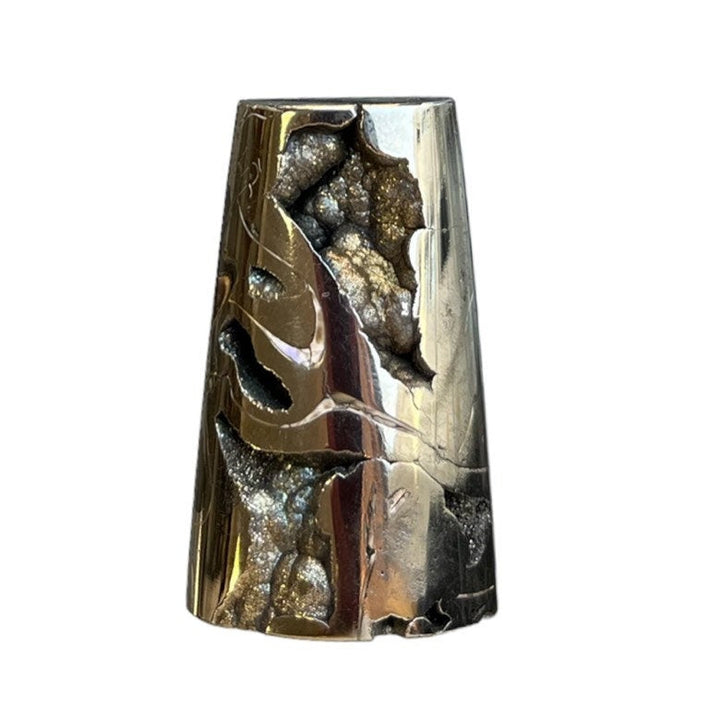 Pyritisierter Ammonit, AM_P068, Cabochon-Schliff, 43x25x11 mm; 25 g;