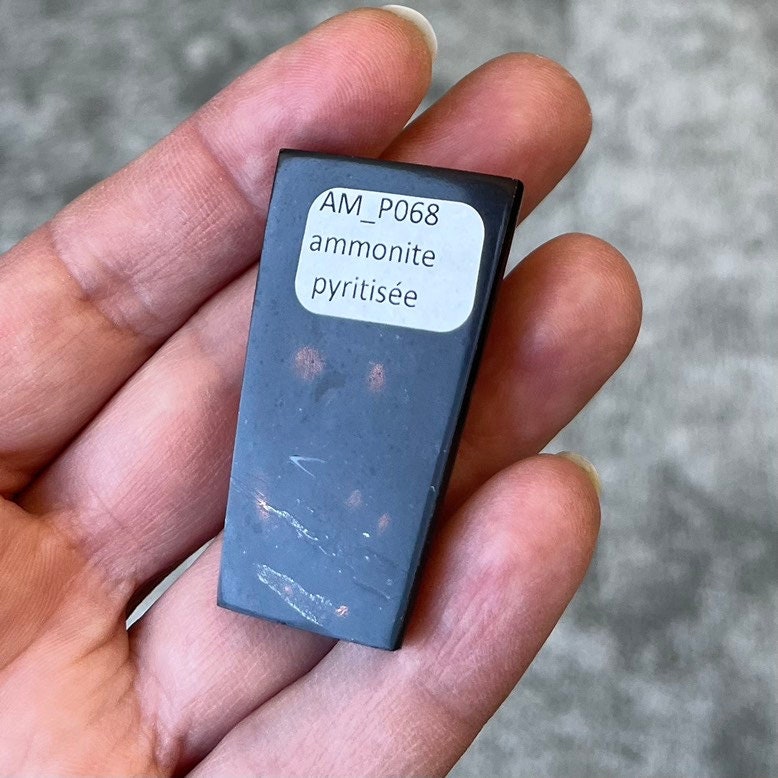 Pyritisierter Ammonit, AM_P068, Cabochon-Schliff, 43x25x11 mm; 25 g;