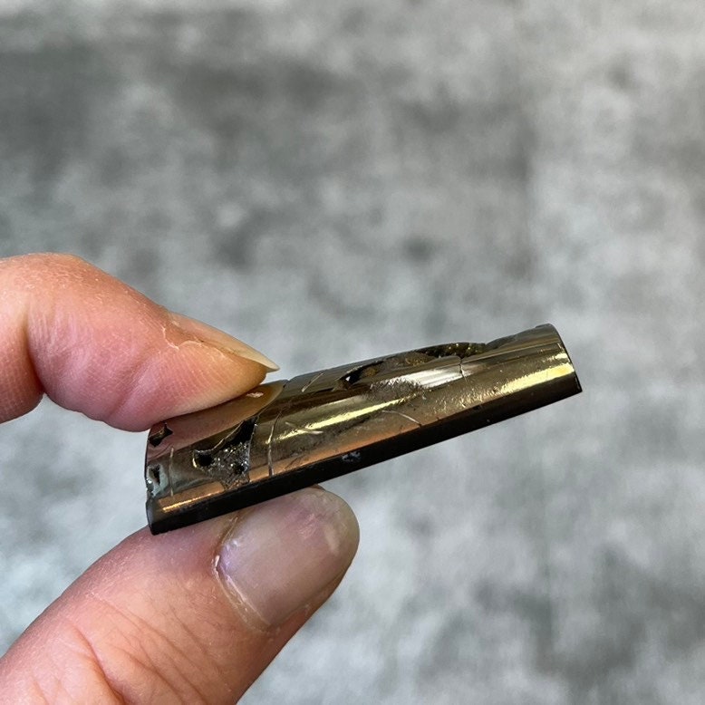 Pyritisierter Ammonit, AM_P068, Cabochon-Schliff, 43x25x11 mm; 25 g;