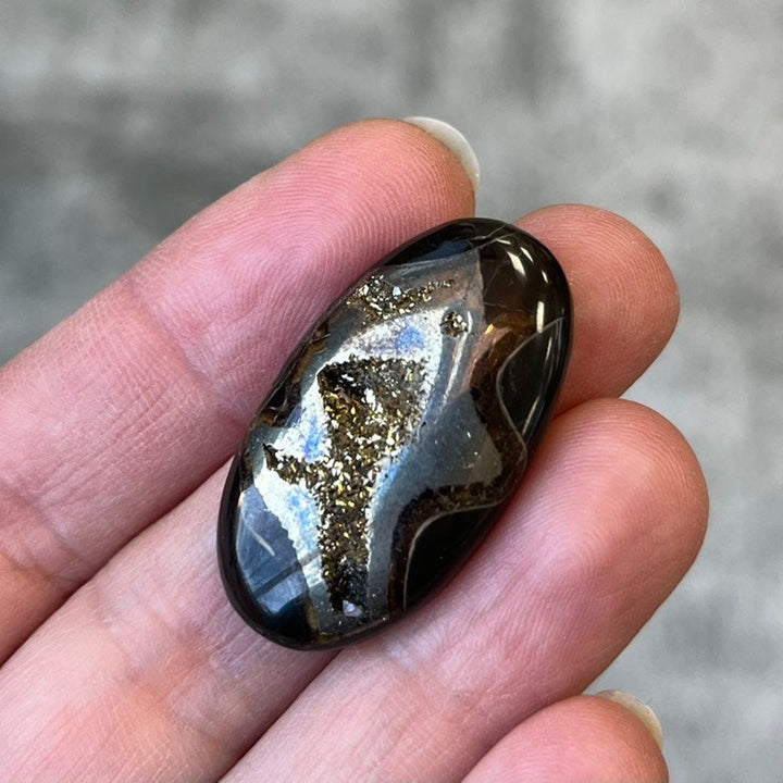 Pyritisierter Ammonit, AM_P098, Cabochon-Schliff, 32 x 18 x 5 mm; 5,3 g