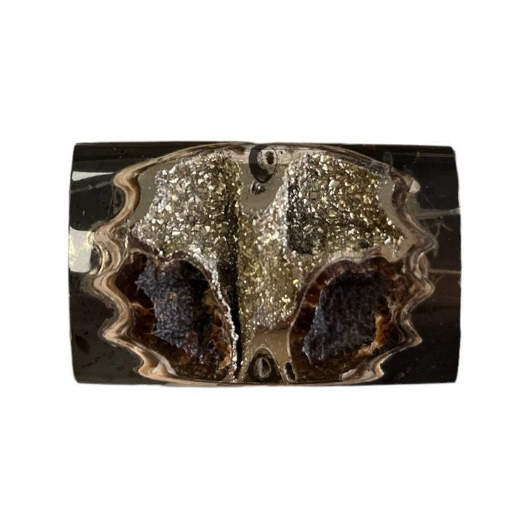 Pyritisierter Ammonit, AM_P037, Cabochongröße, 46x30x9 mm; 23,6 g;