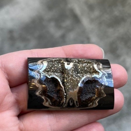 Pyritisierter Ammonit, AM_P037, Cabochongröße, 46x30x9 mm; 23,6 g;