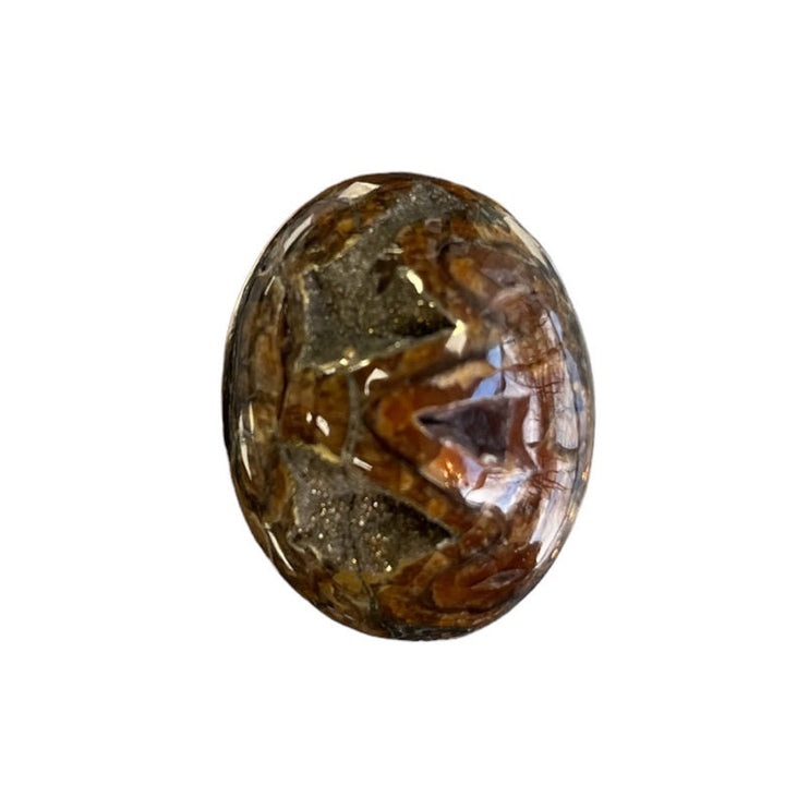 Pyritisierter Ammonit, AM_P053, Cabochon-Schliff, 36x26x14 mm; 17,3 g;