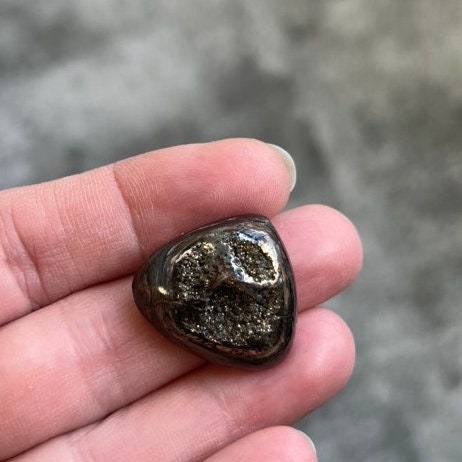 Pyritisierter Ammonit, AM_P091, Cabochongröße, 25 x 22 x 9 mm; 7,6 g