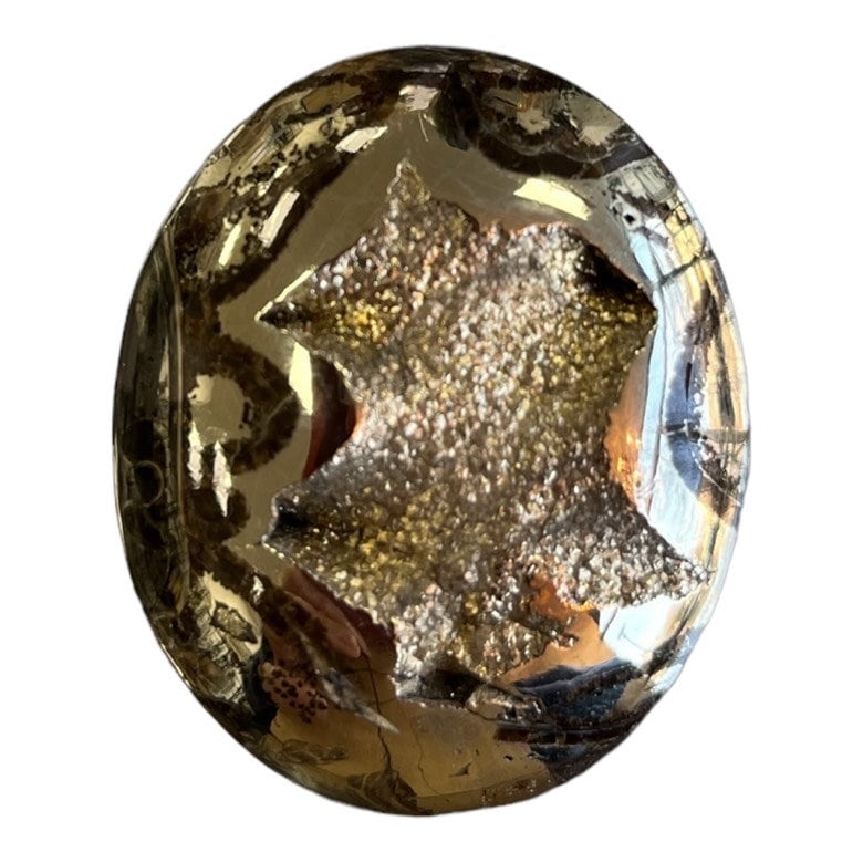 Pyritisierter Ammonit, AM_P064, Cabochon-Schliff, 46x37x10 mm; 26,8 g;