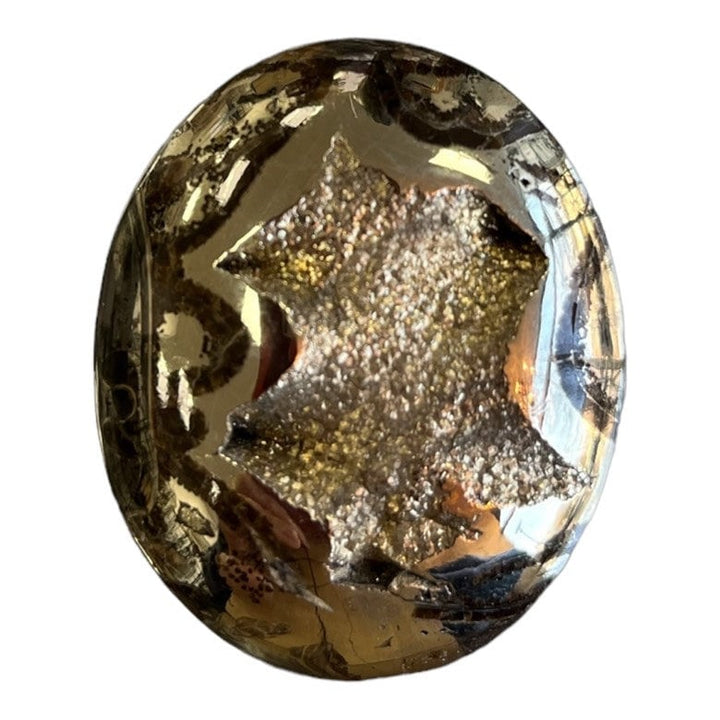 Pyritisierter Ammonit, AM_P064, Cabochon-Schliff, 46x37x10 mm; 26,8 g;