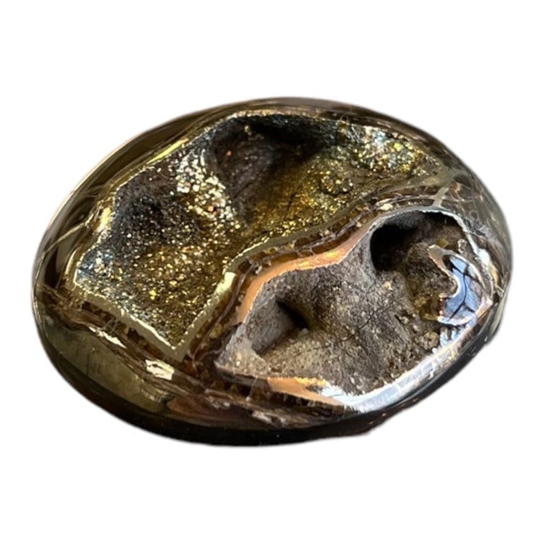 Pyritisierter Ammonit, AM_P045, Cabochon-Schliff, 36 x 31 x 13 mm; 13 g;