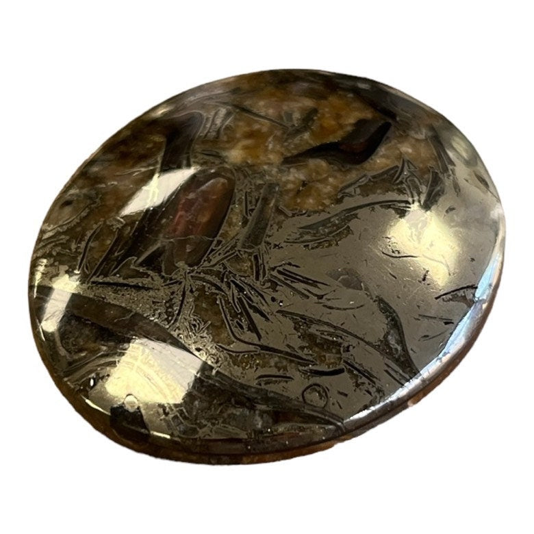 Pyritized ammonite, AM_P050, cabochon cut, 40x35x7 mm; 16.2g;