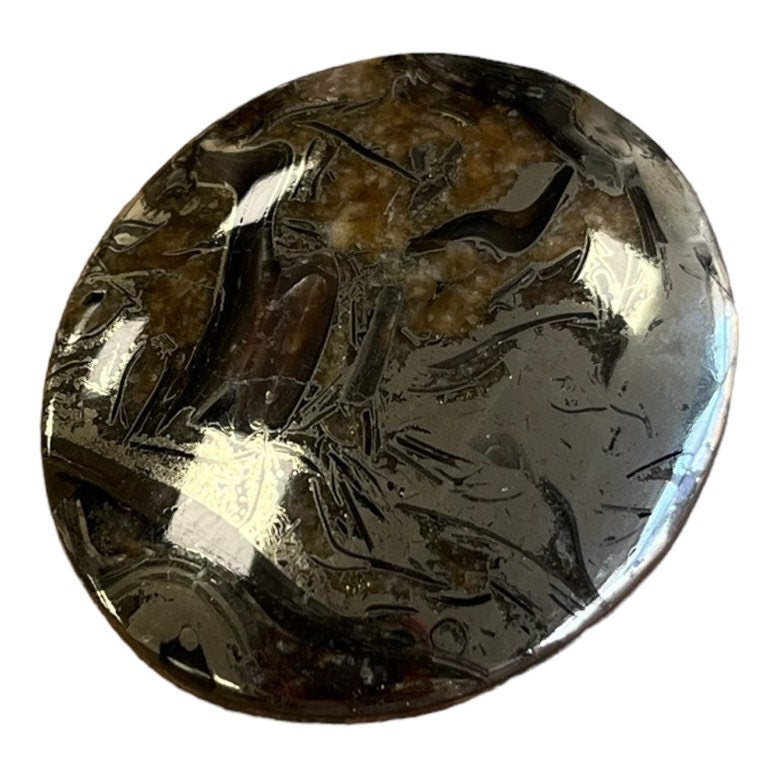Pyritized ammonite, AM_P050, cabochon cut, 40x35x7 mm; 16.2g;