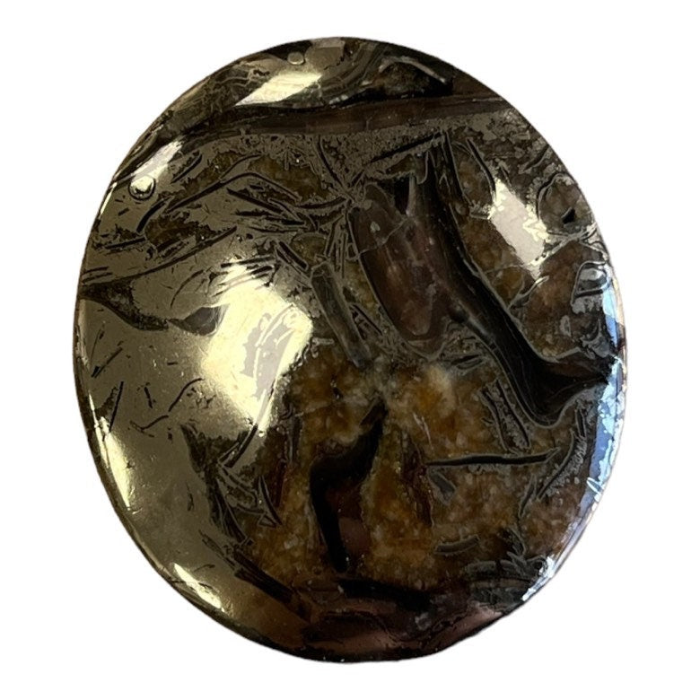 Pyritized ammonite, AM_P050, cabochon cut, 40x35x7 mm; 16.2g;