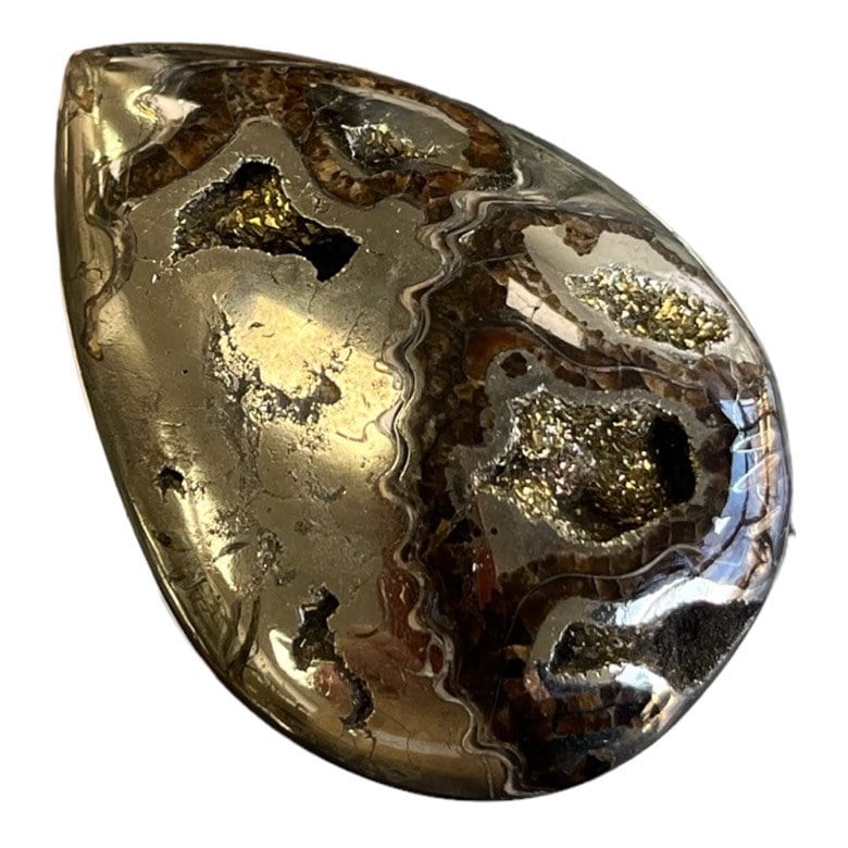 Pyritisierter Ammonit, AM_P080, Cabochongröße, 50x36x10 mm; 27,6 g;