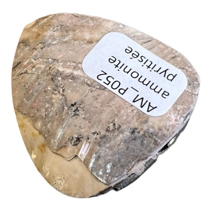 Pyritisierter Ammonit, AM_P052, Cabochon-Schliff, 40x35x10 mm; 13 g;