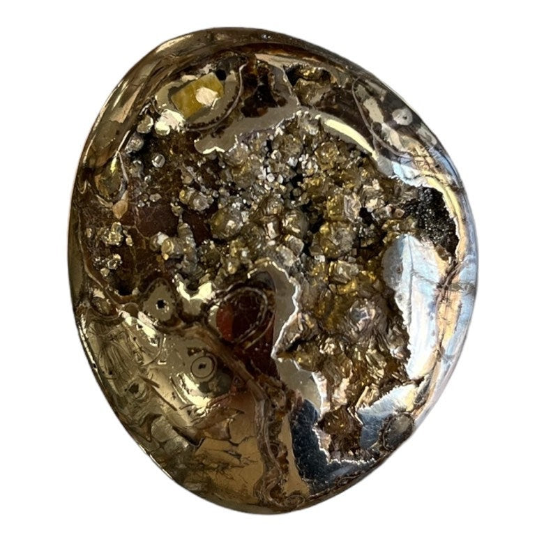 Pyritized ammonite, AM_P067, cabochon cut, 47x39x11mm; 29.3g;